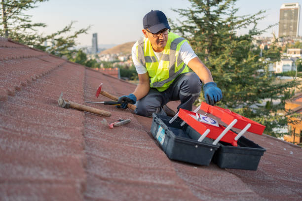 Best Storm Damage Siding Repair  in Cedar Heights, MD